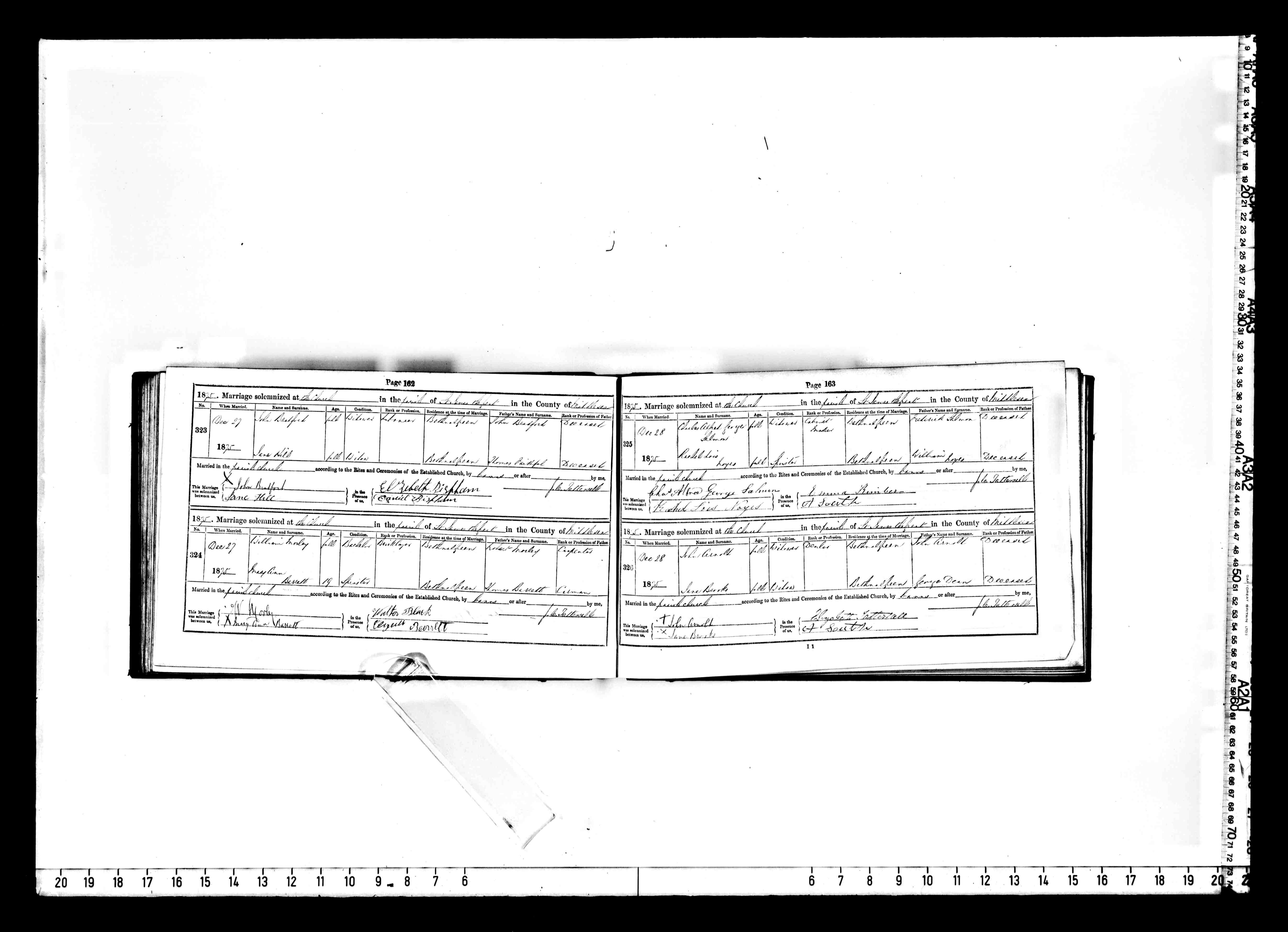 1875 marriage of Lois Rachel Noyes to Charles Alfred Goerge Salmon